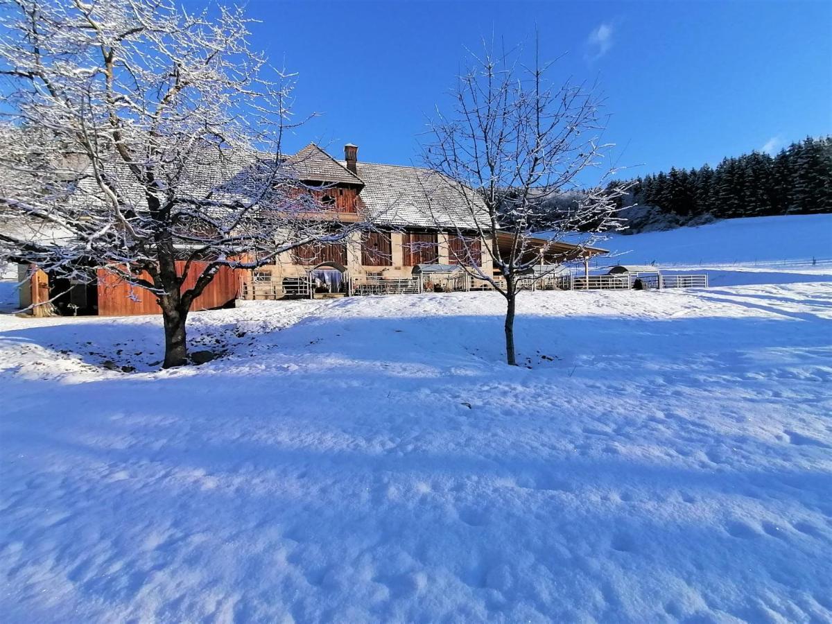 Staudachhof Διαμέρισμα Althofen  Εξωτερικό φωτογραφία