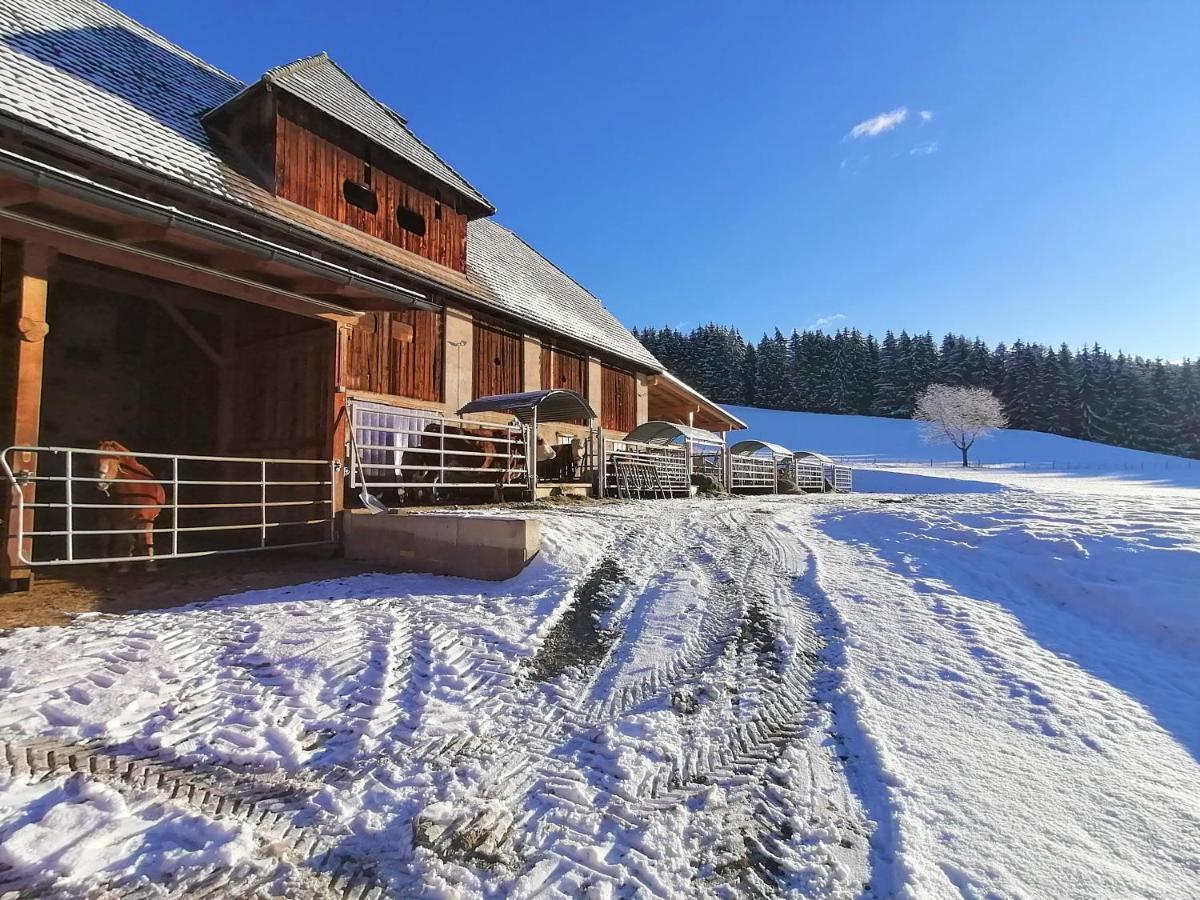 Staudachhof Διαμέρισμα Althofen  Εξωτερικό φωτογραφία