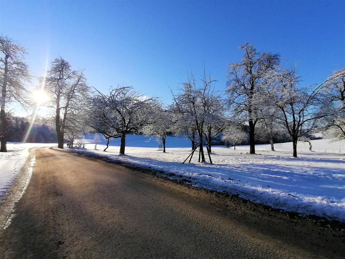 Staudachhof Διαμέρισμα Althofen  Εξωτερικό φωτογραφία