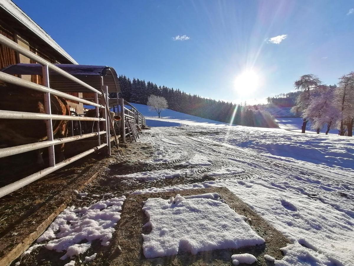 Staudachhof Διαμέρισμα Althofen  Εξωτερικό φωτογραφία